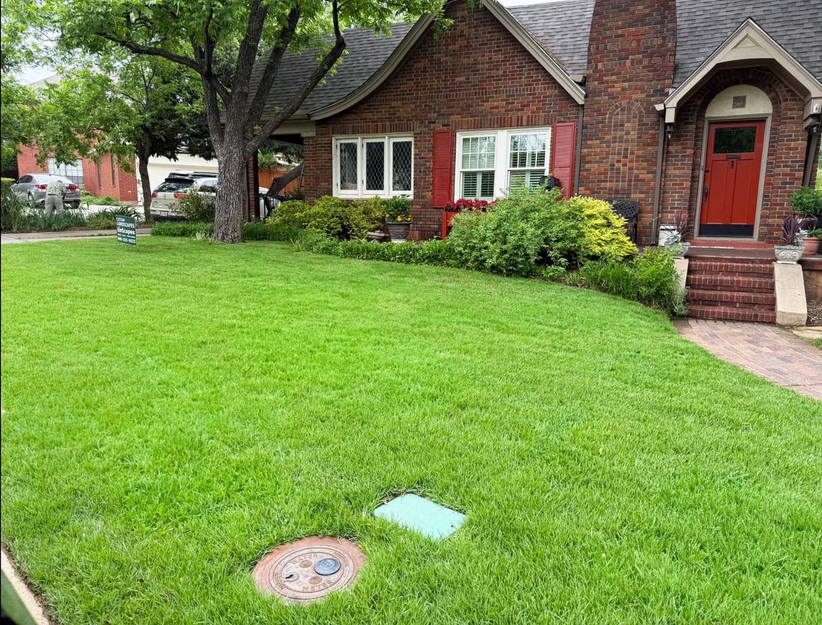After: Garden Beds and Sod