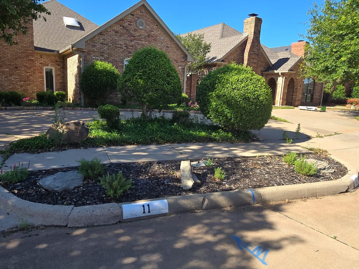 Before: Hyde Park Court